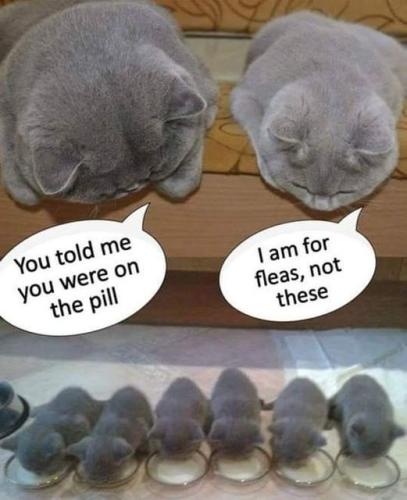 340621548_3224403564517917_3400284988935738074_n