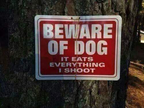 FB_IMG_1680987052877