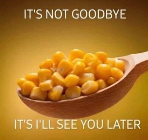 FB_IMG_1682186478692