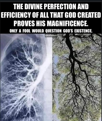 Screenshot_20230403_150454_Chrome