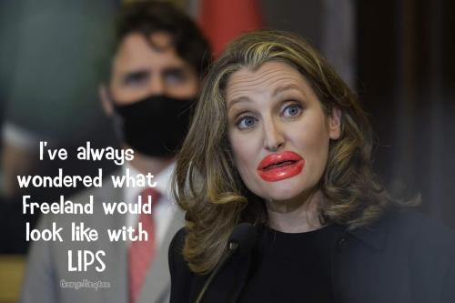 Freeland lips