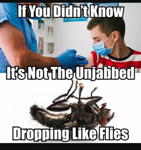 Screenshot_20230402_161924_YouTube