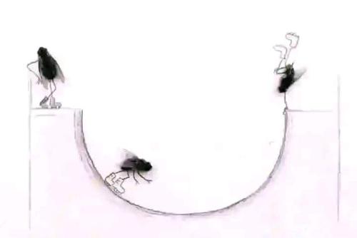 FB_IMG_1681308885377