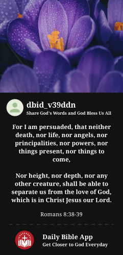 2023-04-091681071885248