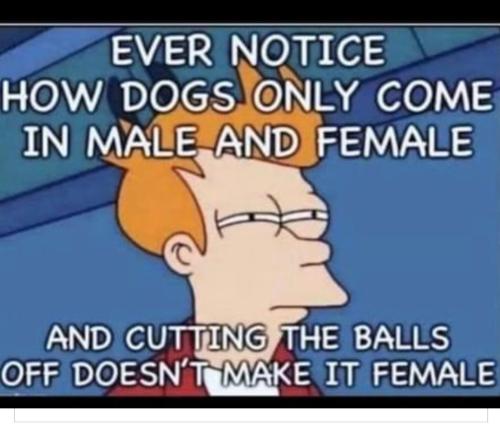 Screenshot_20230422_000803_Gallery