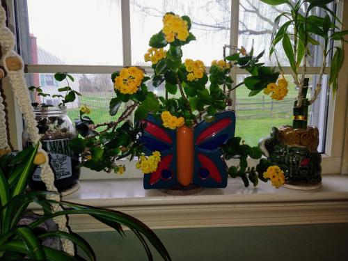 IMG_20230408_175409295~3