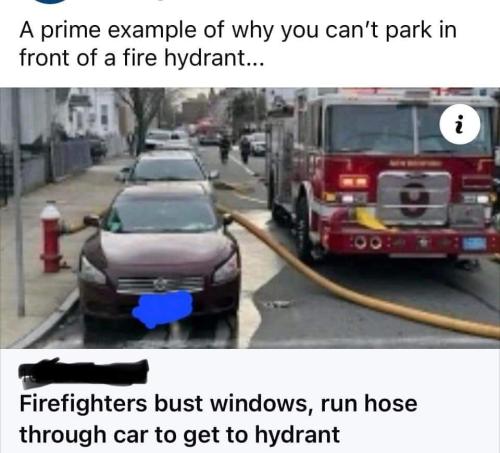 FB_IMG_1681311637977