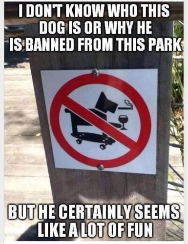 FB_IMG_1681607805509