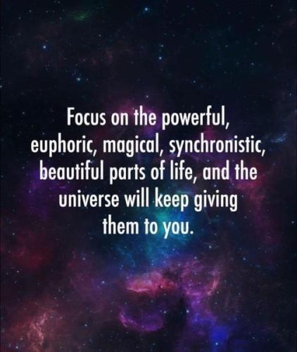 51cCp52jAWL._AC_AC_SR98,95_