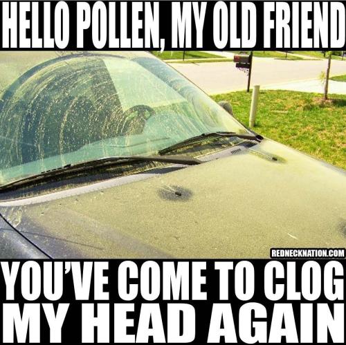 Screenshot_20230420_084024