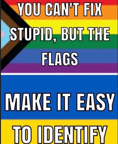 Flags 1