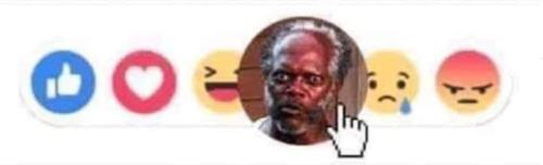 FB_IMG_1681400258864