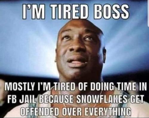 FB_IMG_1682211427132