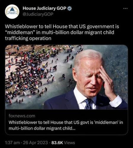 illegal immigration995