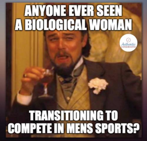 Screenshot_20230411_114600_YouTube