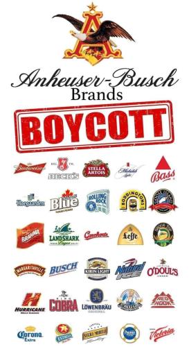 340506303_241896318247422_2294639920571650241_n