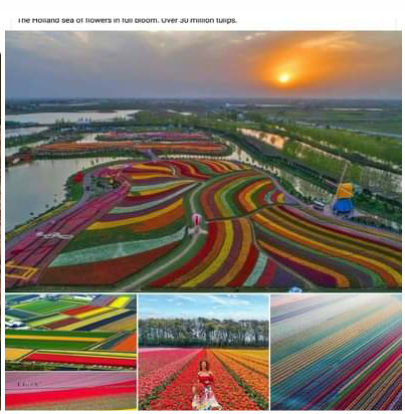 Screenshot_2023-04-04-02-54-33_kindlephoto-160715707