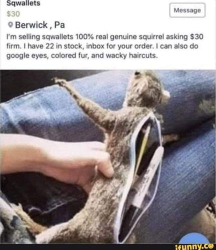 squirell purse