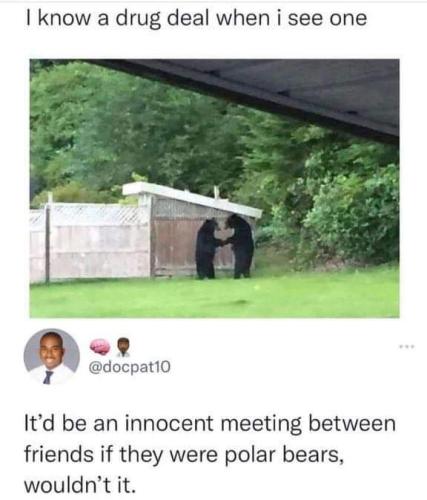 FB_IMG_1680623934280