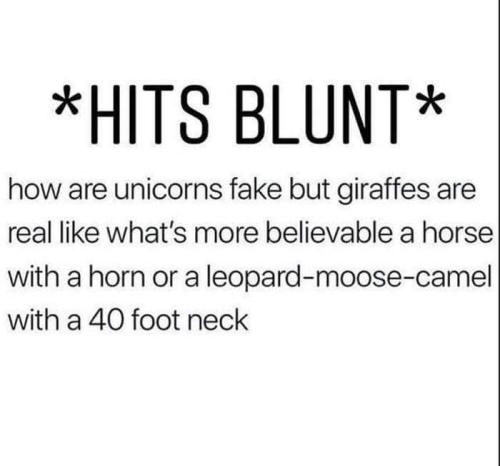 FB_IMG_1682450940208