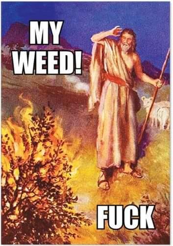 Burning Bush: My weed! Fuck