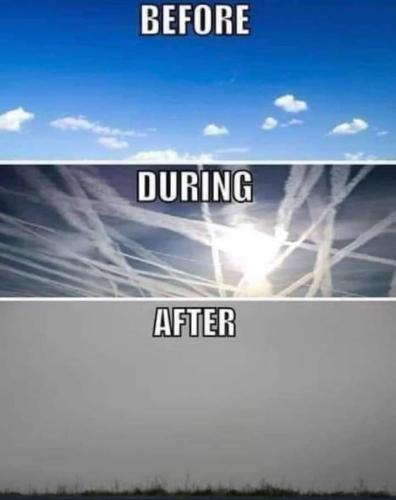 before during and after