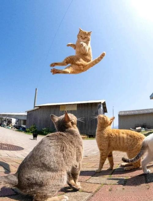 FB_IMG_1681739385828