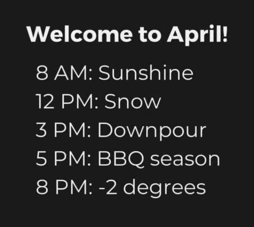 FB_IMG_1682187827531