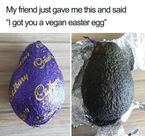 340432186_535165738778123_4686981018827075488_n