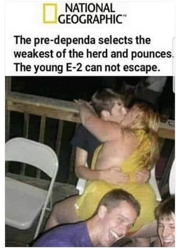 339817051_1409444603218465_3653028388204903342_n