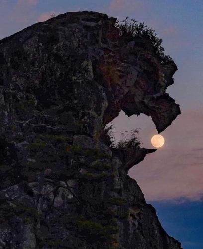 FB_IMG_1680263941366