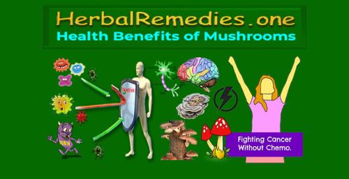 Herbalremedies.one - Health Benefits of Mushrooms