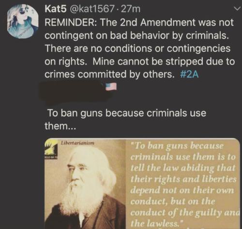 gun ban wim