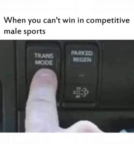 FB_IMG_1682431184502