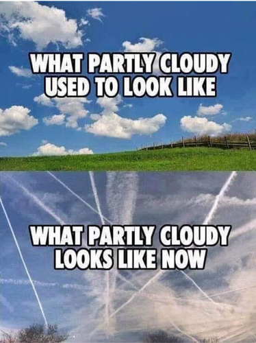 Partly cloudy
