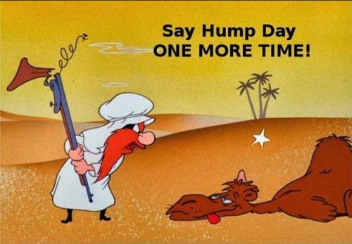 1-HUMP DAY