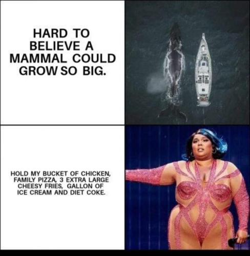 FB_IMG_1680977632208