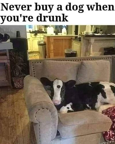 FB_IMG_1680904748638