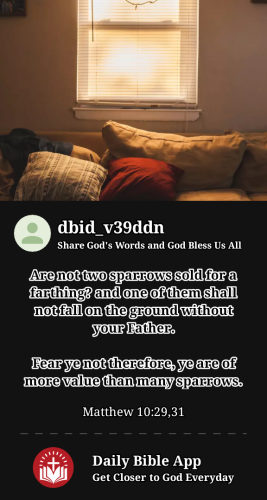 2023-04-211682111616703