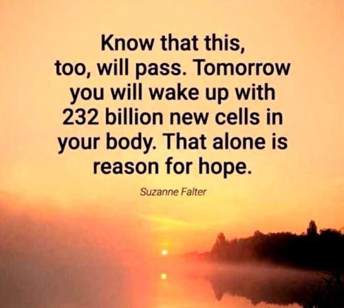 IMG_20230421_143121_600