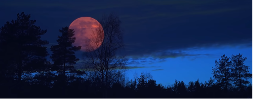 Screenshot 2022-12-02 015129