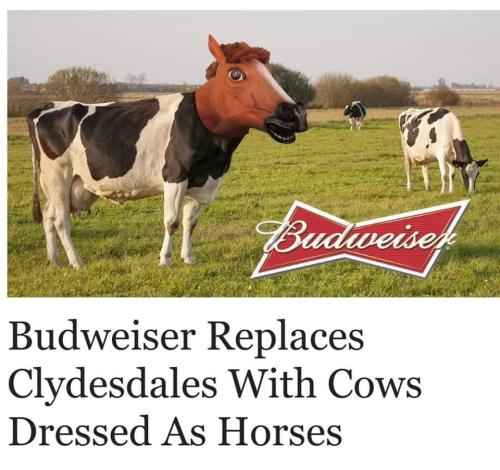 dressed as horses