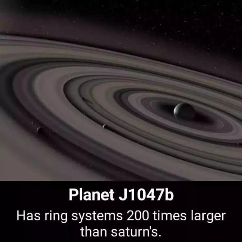 79791811-da0b-4aa1-b822-362a27b99358