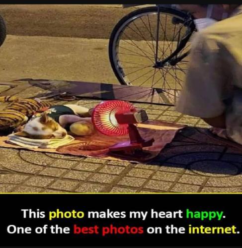 Screenshot_20230401_151210_YouTube