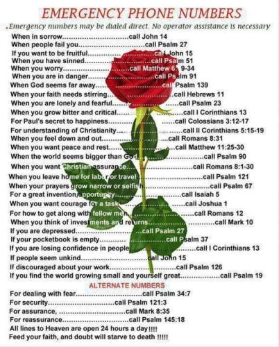 f9eac34e-8f77-4ba6-a77b-9aa6be61bc72