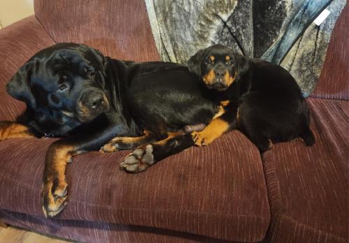 c1c54064-ad98-4633-9d2e-afa43bb5a291