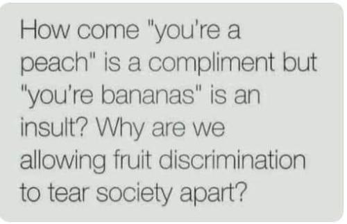 why are we allowing