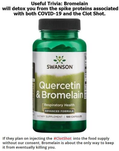 Swanson Quercetin and Bromelain