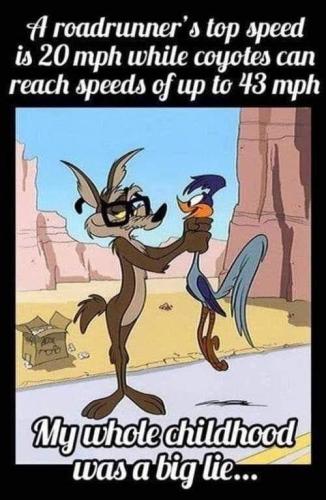 1682341455.4941912