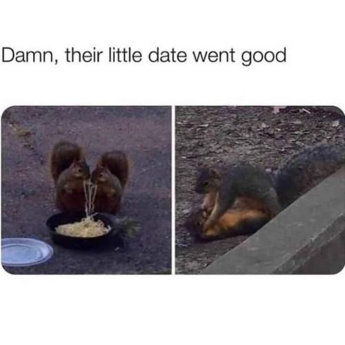 FB_IMG_1682610250473